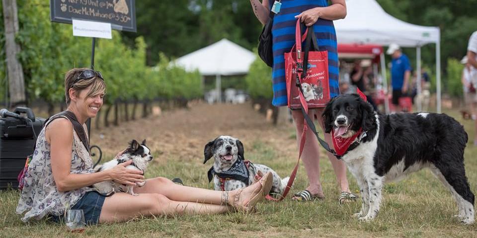 A Bark In The Park-Finger Lakes: The 20 Best Places To Hike With Your Dog